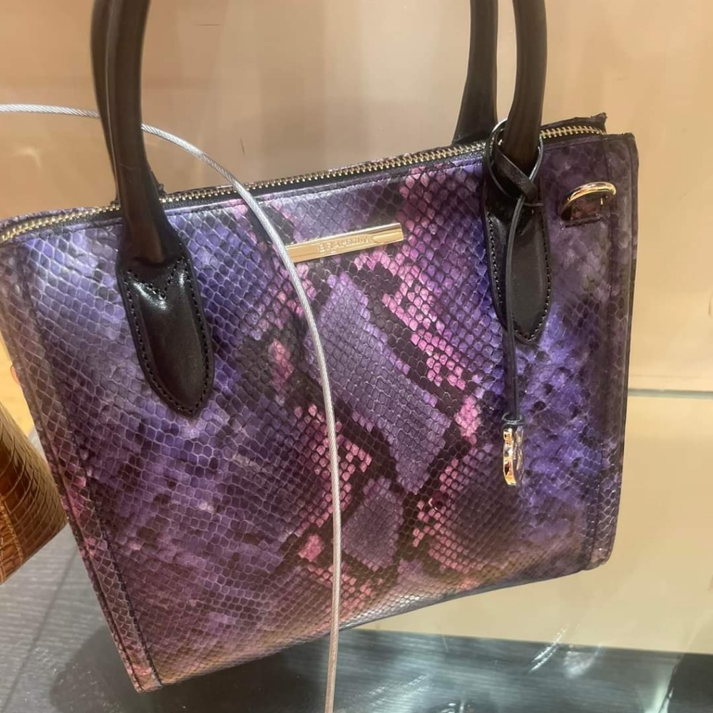 ISO this bag small Caroline
